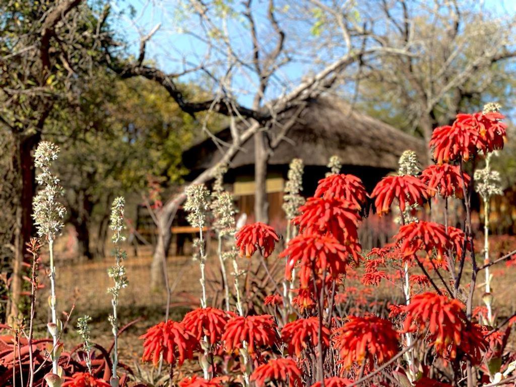 Shayamoya Tiger Fishing And Game Lodge Pongola Esterno foto