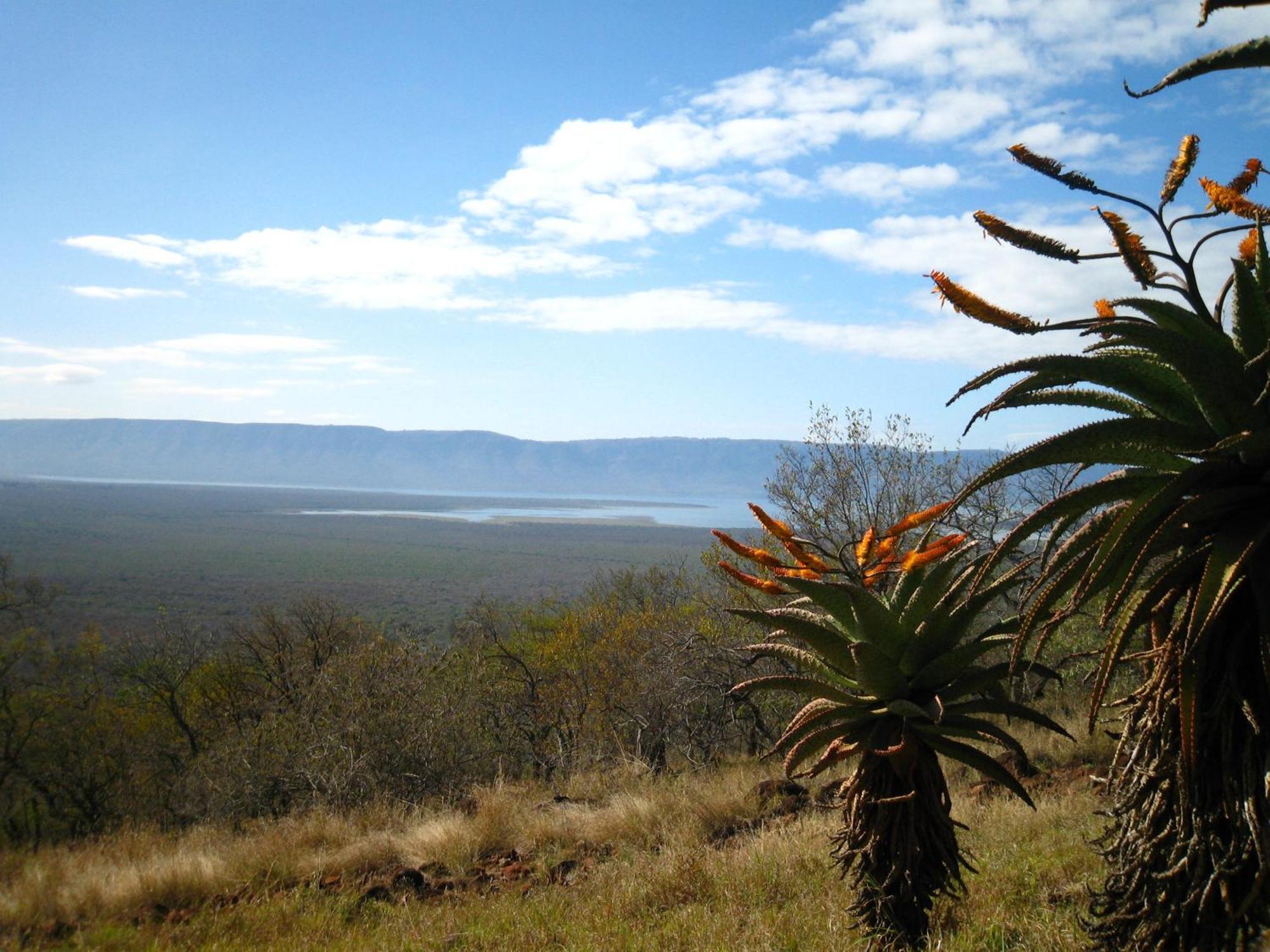 Shayamoya Tiger Fishing And Game Lodge Pongola Esterno foto