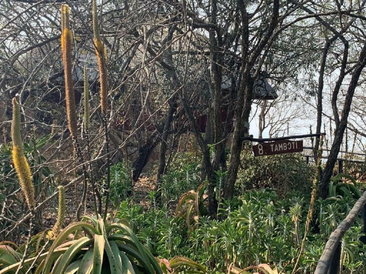 Shayamoya Tiger Fishing And Game Lodge Pongola Esterno foto